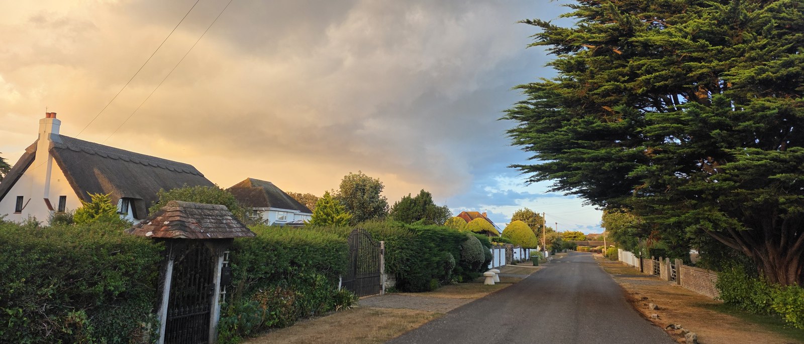 A private road curving away between grass verges and clipped hedges, a thatched cottage and a tiled gate canopy on the left, a large cypress on the right, under a dramatic evening sky