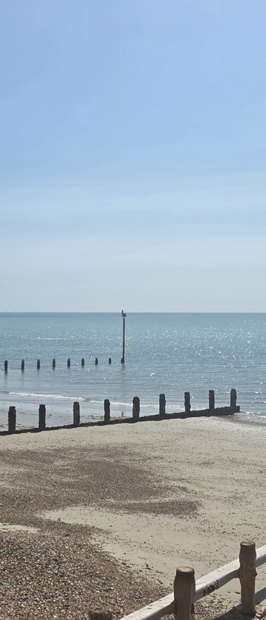 A cormorant perched on the topmark of a groyne marker post out in the sea