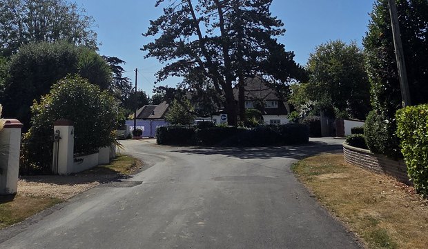 The planted roundabout at the southern end of West Close, with its hedge and mature pine